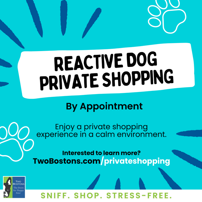 Reactive Dog Private Shopping